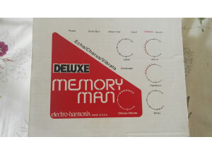 Electro-Harmonix Deluxe Memory Man Mk4 (17615)