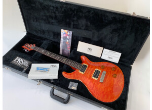 PRS Custom 22 Birds Top-10 (64785)