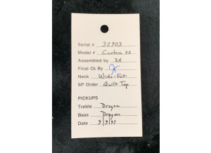 PRS Custom 22 Birds Top-10 (54870)