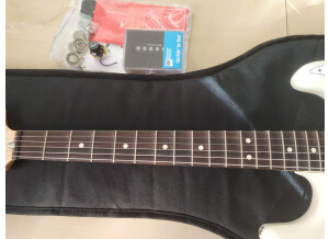 Fender Ritchie Blackmore Stratocaster (18866)