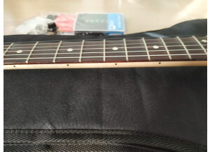 Fender Ritchie Blackmore Stratocaster (53356)