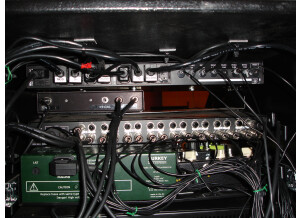 Custom Audio Electronics 3 + SE (32806)