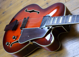 Ibanez AFJ81 (76221)