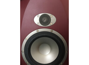 Tannoy Reveal 6 (69879)