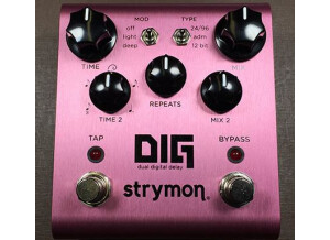 Strymon DIG (412)
