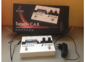 Two Notes Audio Engineering Torpedo C.A.B. (Cabinets in A Box) (11499)