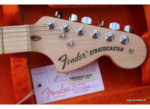 Fender Billy Corgan Stratocaster (33723)