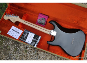 Fender Billy Corgan Stratocaster (446)