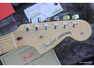 Fender American Professional Jaguar (21265)