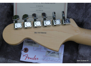 Fender American Professional Jaguar (88752)