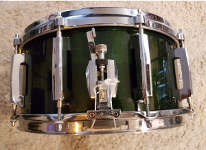 Pearl master studio birch shell (21907)