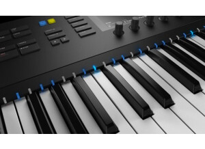 Native Instruments Komplete Kontrol S49 mk2 (66313)