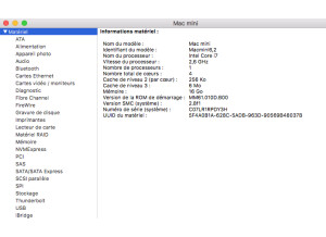 Apple Mac Mini Quadricoeur 2.6GHz (79122)