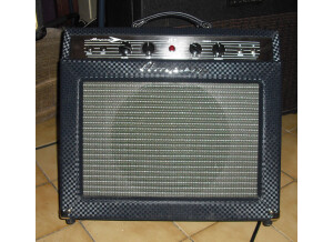 Ampeg J-20