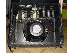 Ampeg J-20