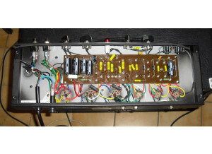 Ampeg J-20