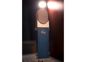 Blue Microphones Blueberry (32715)