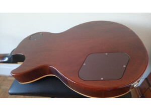 Gibson Les Paul Standard (1993) (27119)