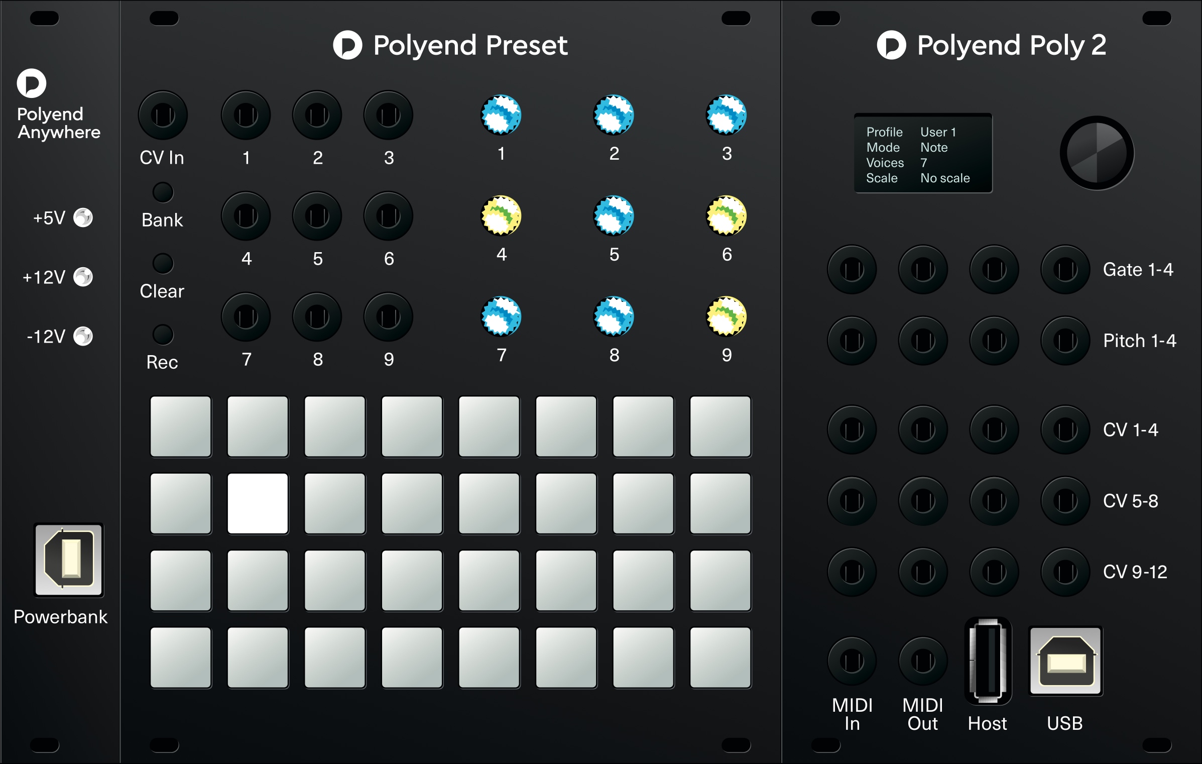 Polyend Poly 2 : polyend_modules_2019