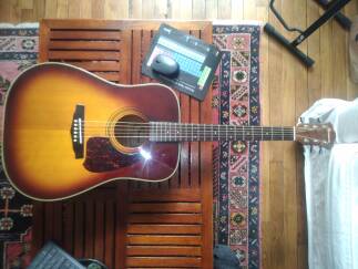 Ibanez V300