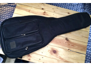 Tanglewood TW133 (13853)