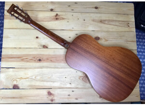 Tanglewood TW133 (87400)