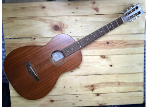 Tanglewood TW133 (13688)