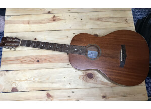 Tanglewood TW133 (57659)