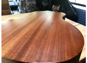 Tanglewood TW133 (61308)