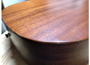 Tanglewood TW133 (53810)