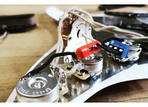 Radioshop Pickups Solderless Solution Loaded Stratocaster Pickguard (6699)