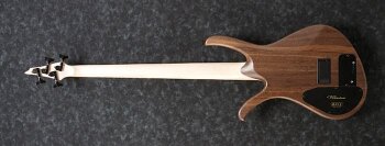 p_region_AFR4WAP_NTF_1P_01_sub_4 p_region_AFR4WAP_NTF_1P_01_sub_4