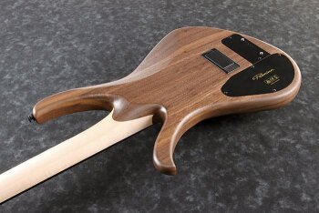 p_region_AFR4WAP_NTF_1P_01_sub_2 p_region_AFR4WAP_NTF_1P_01_sub_2