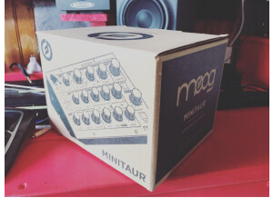 Moog Music Minitaur (64212)