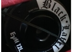 Electro-Voice EVM-12L Black Label