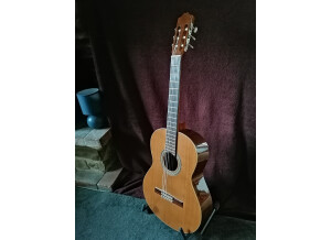 Fender CD-60 [2011-2016] (1364)