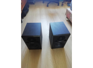 Fostex PM0.5 mkII (76696)