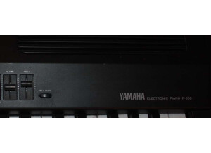 Yamaha P-300