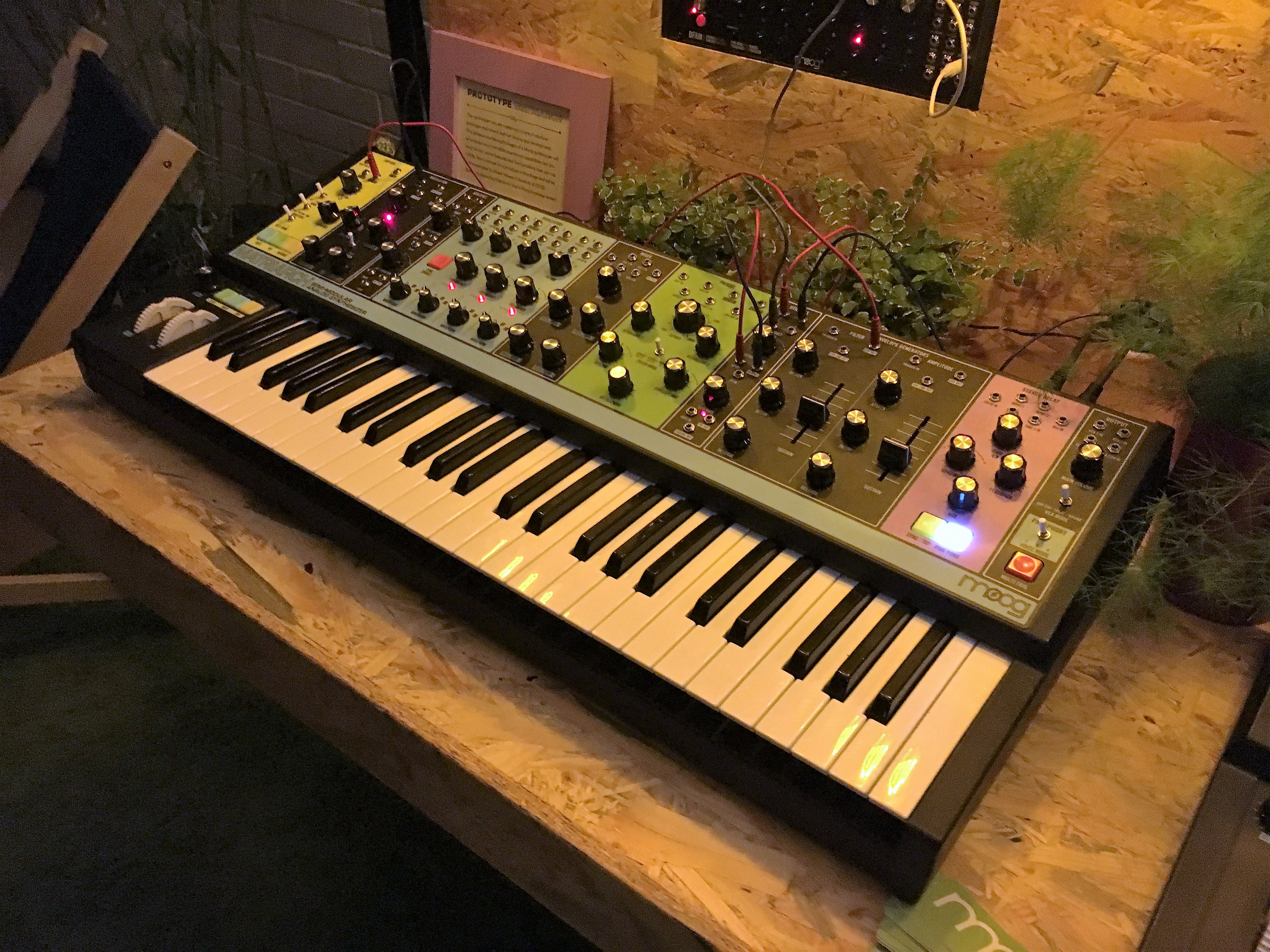 Moog Music Matriarch : Moog Music - Matriarch - IMG_4788.JPG