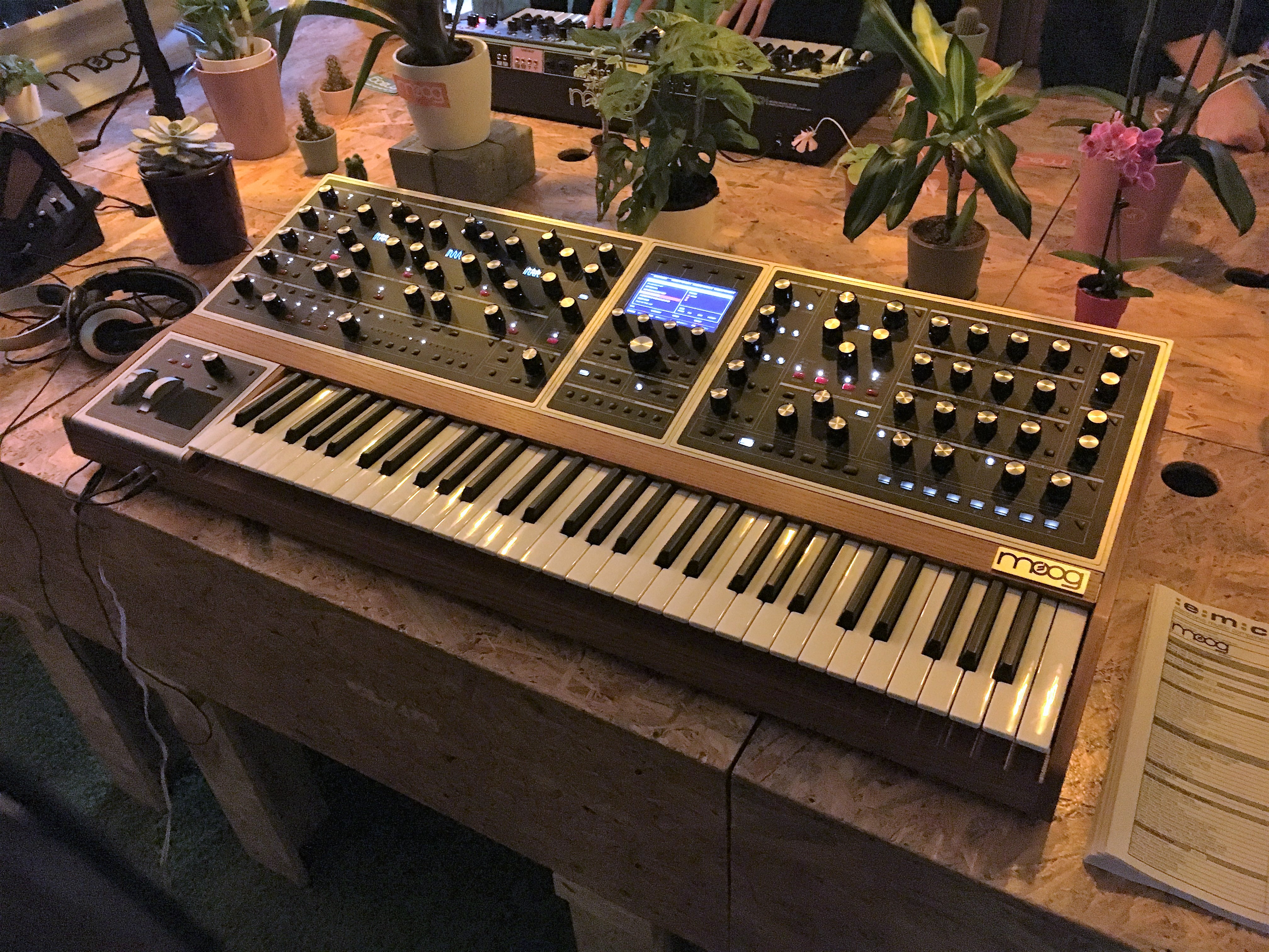 Moog Music Moog One 8 : Moog Music - One - IMG_4792.JPG