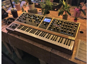 Moog Music - One - IMG_4792.JPG
