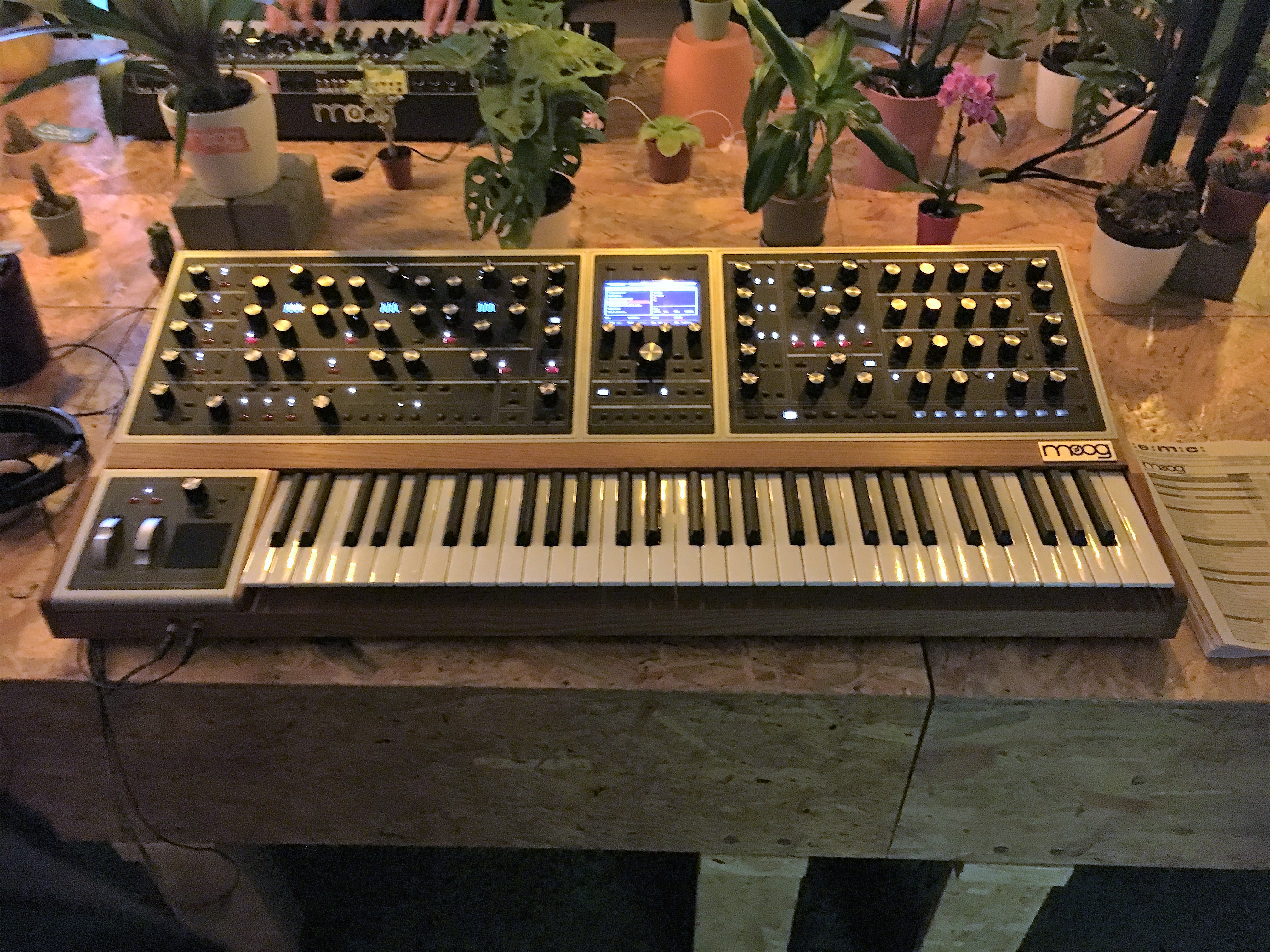 Moog Music Moog One 16 : Moog Music - One - IMG_4791.JPG