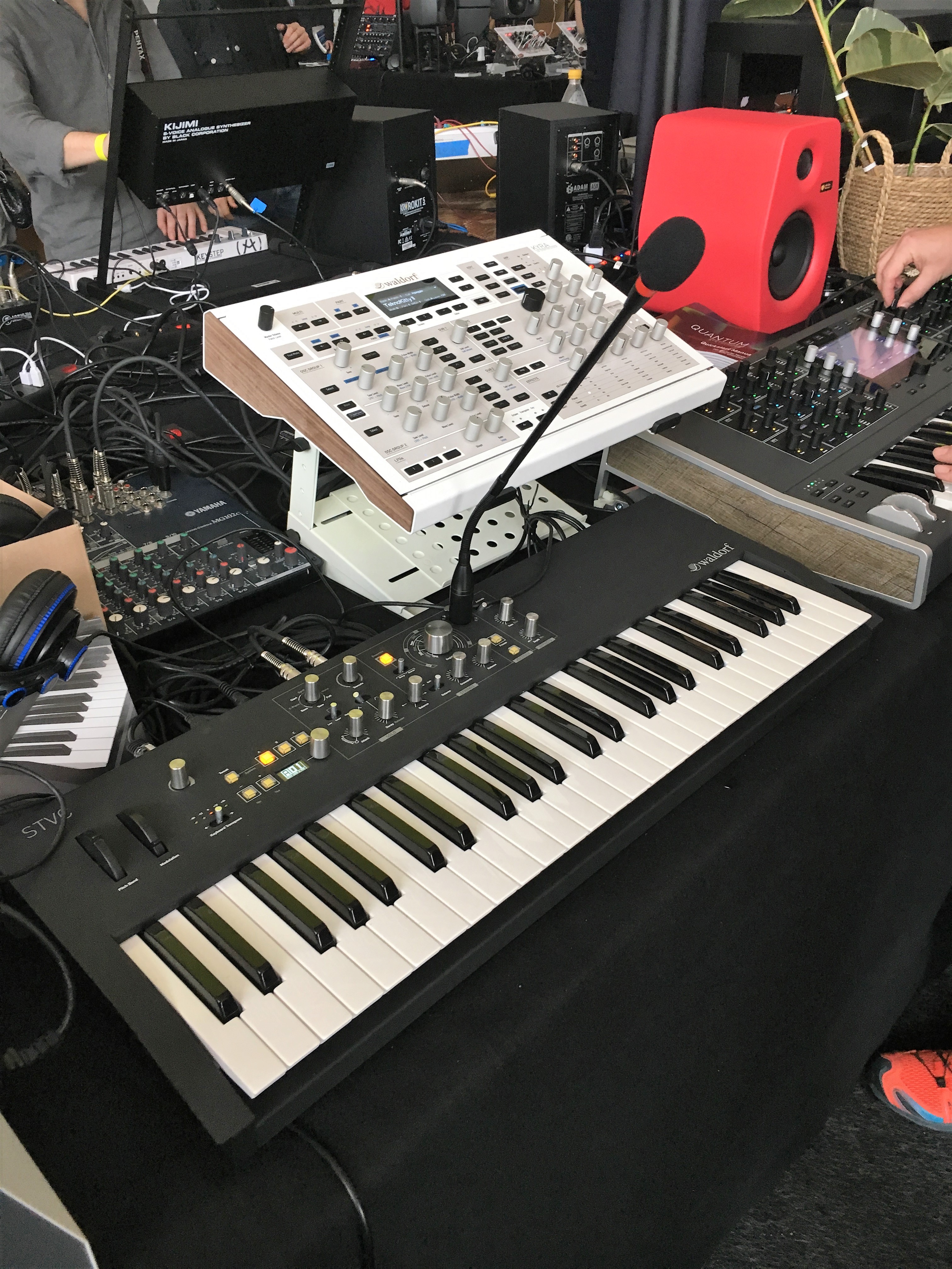 Waldorf Kyra : Waldorf - STVC &amp; Kyra - IMG_4831.JPG