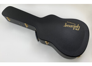 Gibson Hummingbird Pro