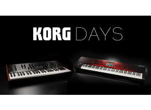 Banner-Korg-Days