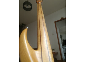 F Bass BN6 (392)