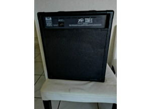 Peavey Max 110 - 2