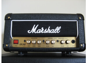 Marshall 1990s DSL1H (15864)