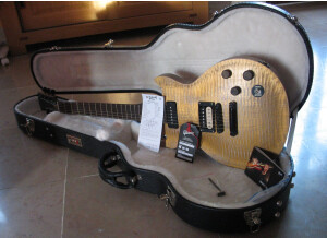 Gibson Les Paul BFG (39603)