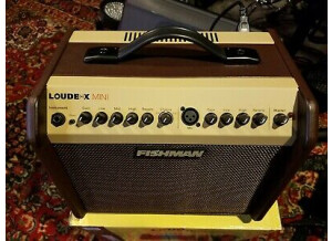 Fishman Loudbox Mini (3534)